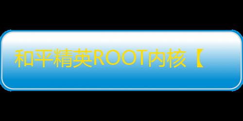 和平精英ROOT内核【R星内部】外挂